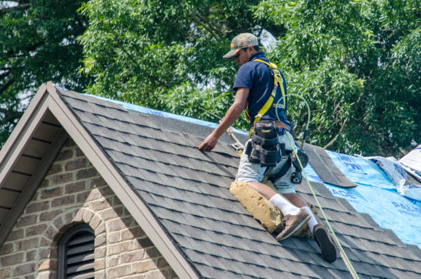 Roof Gutter Cleaning in Osborne, KS